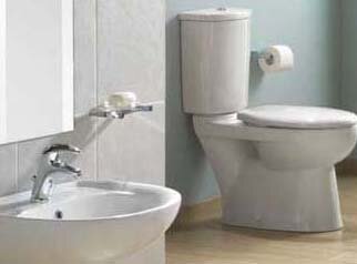 Twyford Flushwise